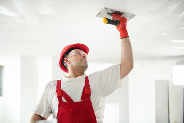 Best Residential Painting  in Republic, PA